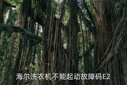 海尔小神功洗衣机出现e2 怎么办，海尔小神童XOB507288AHM洗衣机显示E2怎么维修