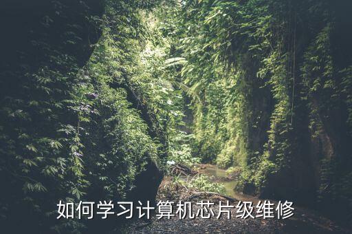 如何学习计算机芯片级维修