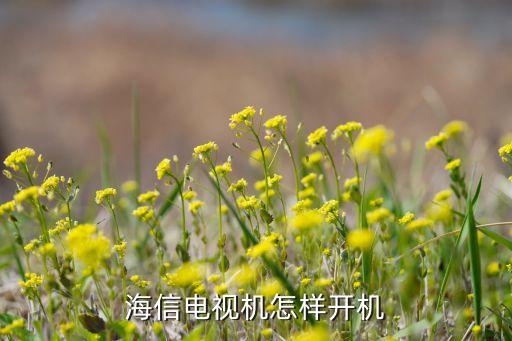 海信电视机怎样开机