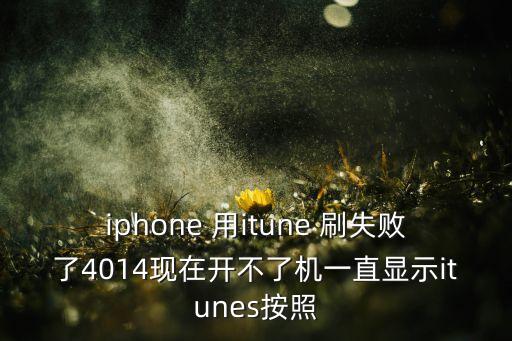 iphone 用itune 刷失败了4014现在开不了机一直显示itunes按照
