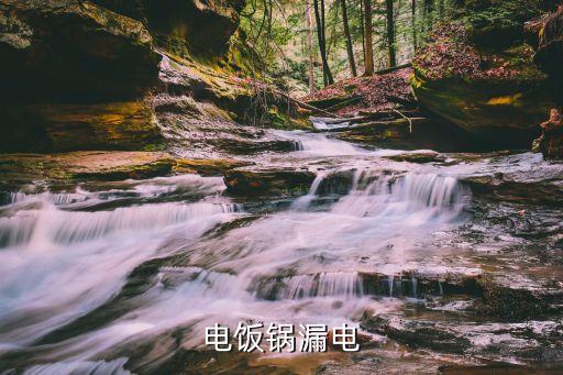 电饭锅漏电