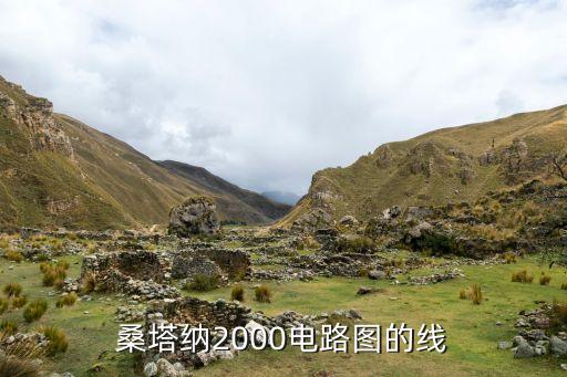 桑塔纳2000电路图的线