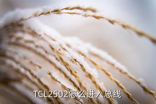 tcl总线t2怎么换别项，TCL2502怎么进入总线