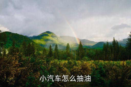 如何从小车抽油，小汽车怎么抽油
