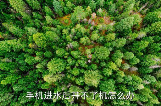 手机进水后开不了机怎么办