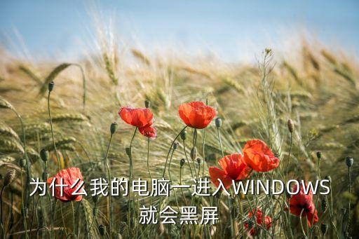 为什么我的电脑一进入WINDOWS就会黑屏