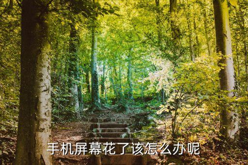 手机屏幕花了该怎么办呢