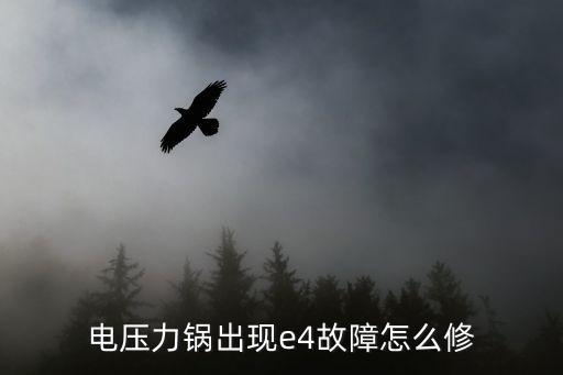 电压力锅出现e4故障怎么修