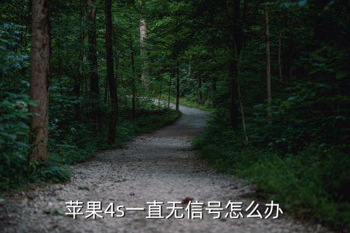 苹果4s一直无信号怎么办