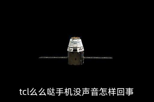tcl么么哒手机没声音怎样回事