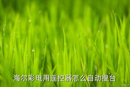 海尔彩电用遥控器怎么自动搜台