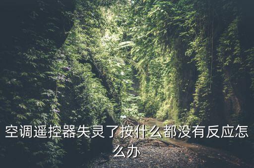 空调遥控器失灵了按什么都没有反应怎么办