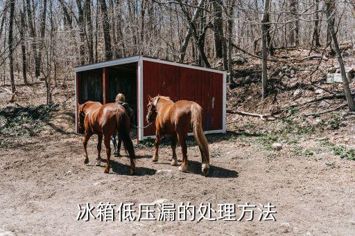 冰箱低压漏的处理方法