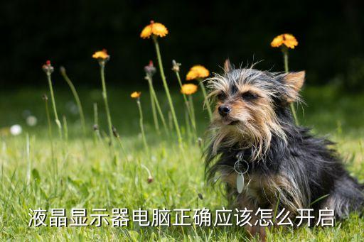 液晶显示器电脑正确应该怎么开启