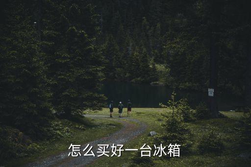 海尔台扇怎么装箱，怎么买好一台冰箱