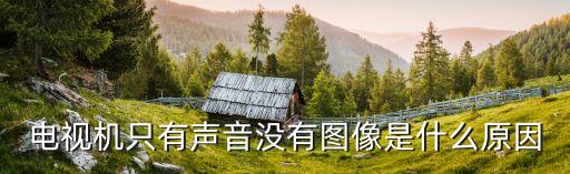 电视机只有声音没有图像是什么原因