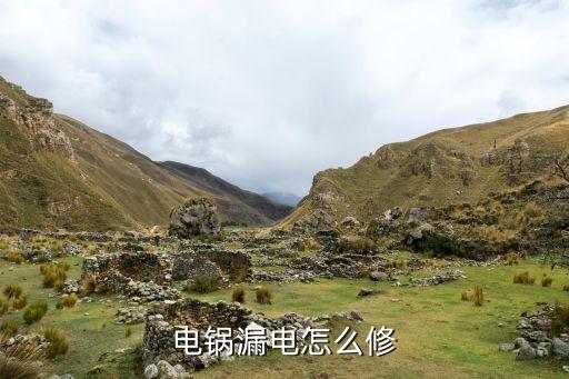电火锅如何维修，电锅漏电怎么修
