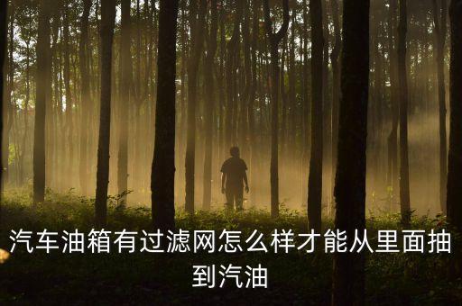 汽车油箱有过滤网怎么样才能从里面抽到汽油