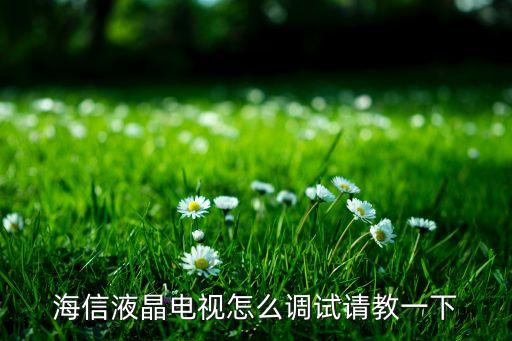 海信液晶电视怎么调试请教一下
