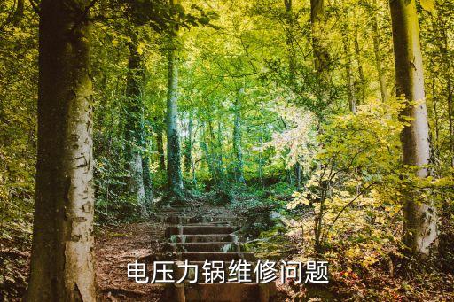 电压力锅维修问题