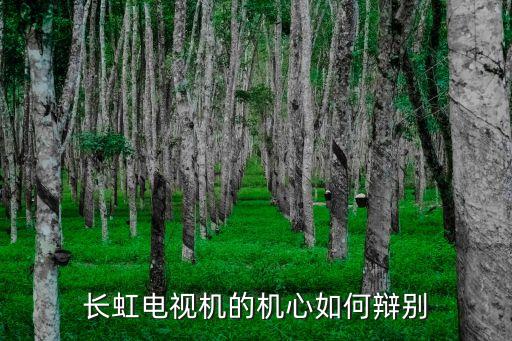 长虹电视机的机心如何辩别