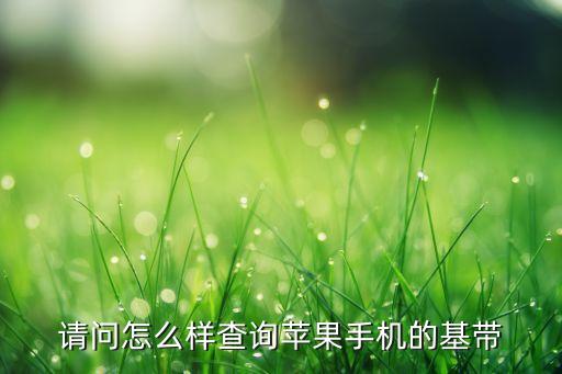 请问怎么样查询苹果手机的基带