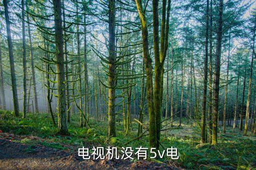 电视机没有5v电