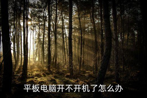 海信平板电脑开机不了系统怎么办，平板电脑开不开机了连接电脑也没反应怎么刷机