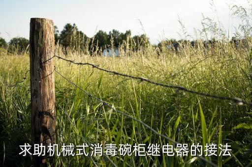 求助机械式消毒碗柜继电器的接法