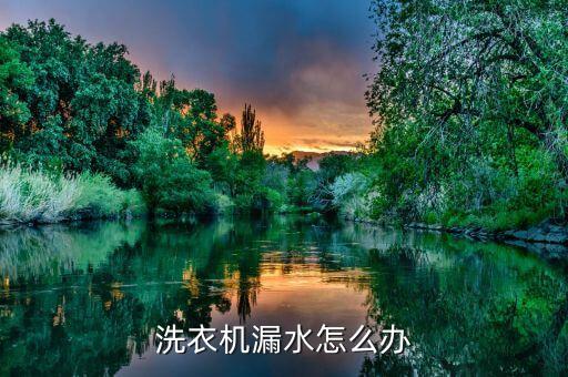 洗衣机漏水怎么办