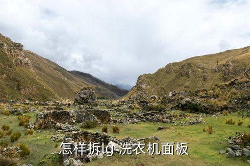 lg双力神洗衣机怎么拆，怎样拆lg 洗衣机面板