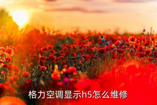 格力空调显示h5怎么维修