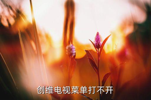 创维电视21n66aa如何进入子菜单，创维21D68AA怎么进总线