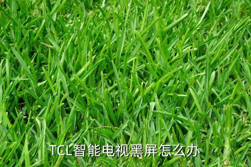 tcl不能开机黑屏怎么办，tcl电视黑屏打不开怎么办