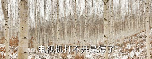 电视机打不开是怎了