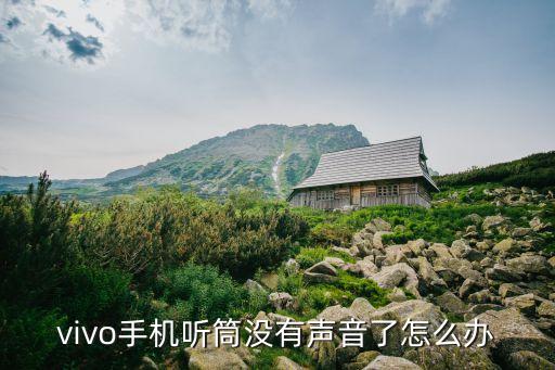 vivo手机听筒没有声音了怎么办