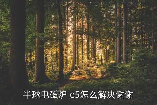 半球电磁炉 e5怎么解决谢谢