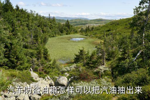 防盗油箱怎么抽油，柴油箱装了放盗怎么往外抽油