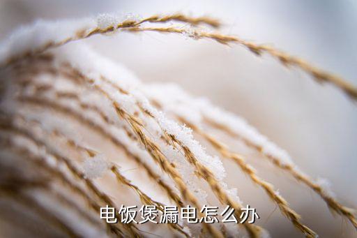 电饭煲漏电怎么办