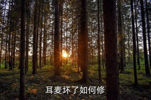 耳麦坏了如何修