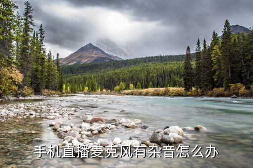 手机话筒噪音怎么解决，手机通话对方噪音大怎么办