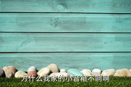 小音箱无声音怎么回事，为什么我家的小音箱不响啊