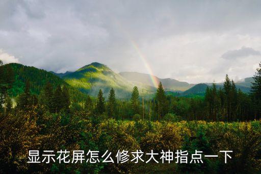 显示花屏怎么修求大神指点一下