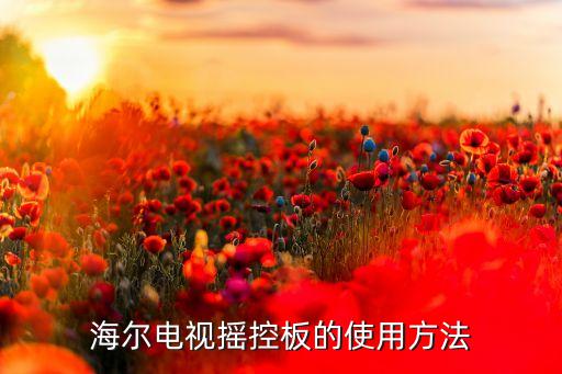 海尔电视怎么使遥控器，海尔电视摇控板的使用方法