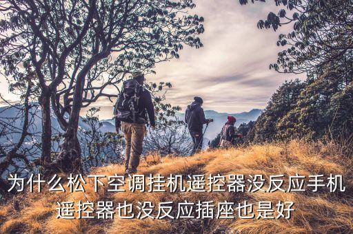 松下遥控器没反应是怎么回事，为什么松下空调挂机遥控器没反应手机遥控器也没反应插座也是好