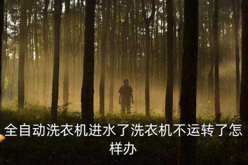 滚筒电机进水了怎么办，滚筒电机泡水了怎办