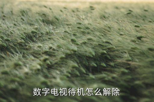 数字电视待机怎么解除