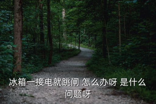 荣声冰箱经常跳闸怎么办，我的冰箱老是跳闸