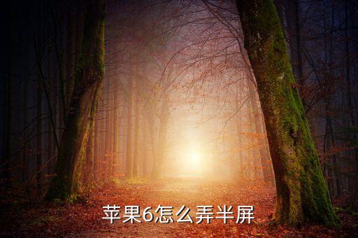 苹果6怎么弄半屏