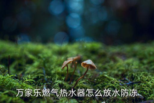 万家乐热水器怎么保，万家乐燃气热水器保养方法有哪些